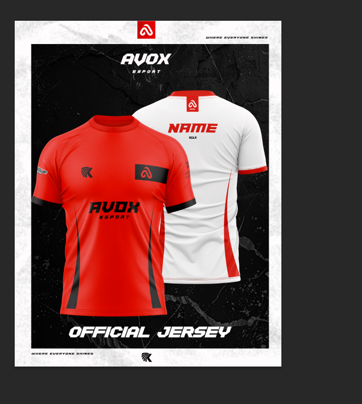 Maillot domicile AVOX Esport